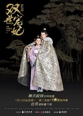 双世宠妃[电影解说]海报