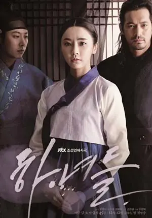侍女们海报
