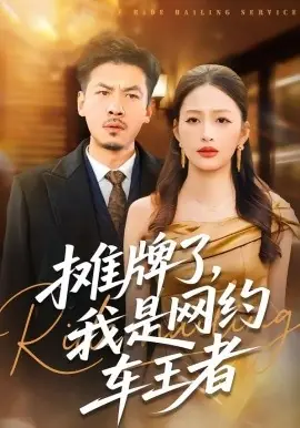 摊牌了,我是网约车王者海报