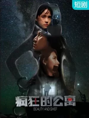 疯狂的公寓海报