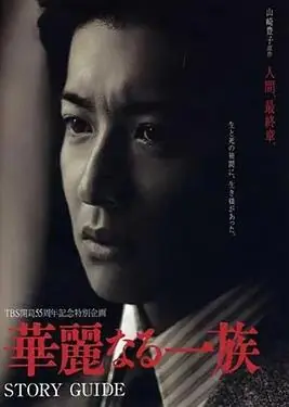 华丽一族海报