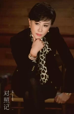 对照记第一季海报