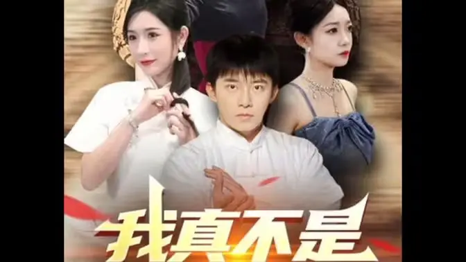 我真不是隐士高人海报