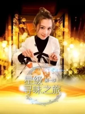 星级寻味之旅第一季海报