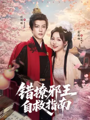 错撩邪王自救指南海报