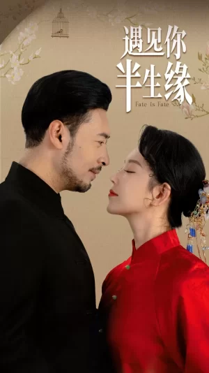 遇见你半生缘海报