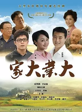 家大业大海报