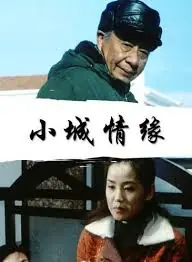 小城情缘海报