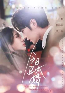 今日宜大婚海报