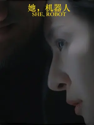 她,机器人海报