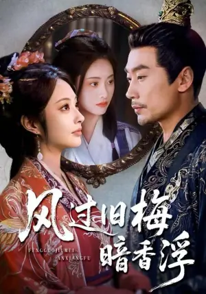 风过旧梅暗香浮海报