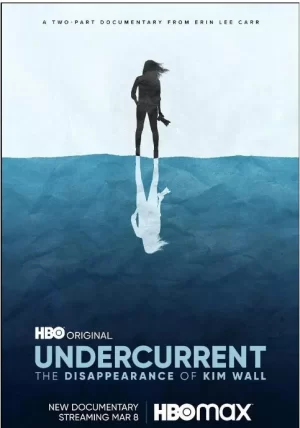 暗流:金·沃尔的消失海报