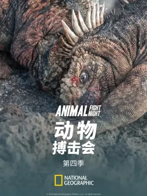 动物搏击会第四季海报
