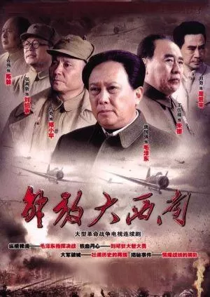 解放大西南海报