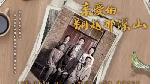 来自深山的凝望(亲爱的翻越那深山)海报