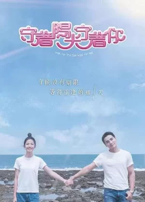 守着阳光守着你海报