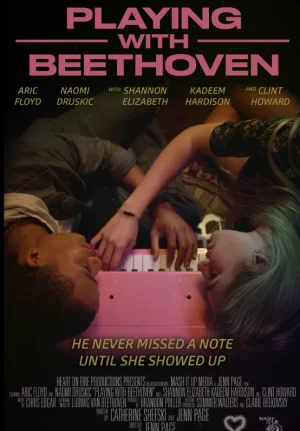 PlayingwithBeethoven海报