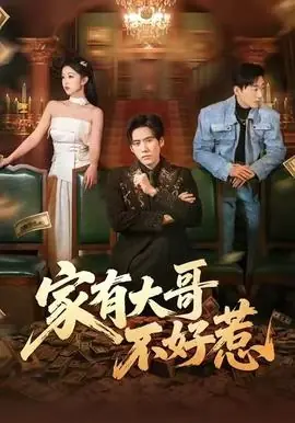 家有大哥不好惹海报