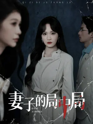 妻子的局中局海报