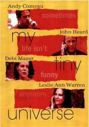 我的小宇宙海报