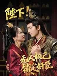 陛下!无人机已锁定奸臣海报