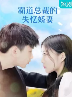霸道总裁的失忆娇妻海报