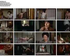 外人妻海报