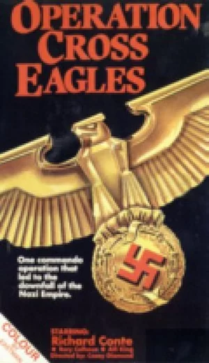 十字鹰行动海报