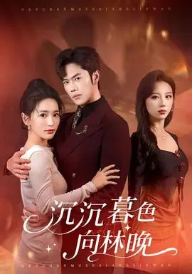 沉沉暮色向林晚海报