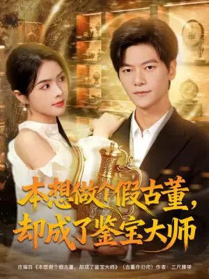 本想做个假古董,却成了鉴宝大师海报