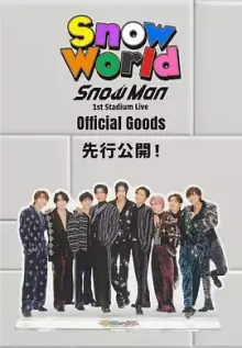 SnowMan首次体育场演唱会:SnowWorld海报