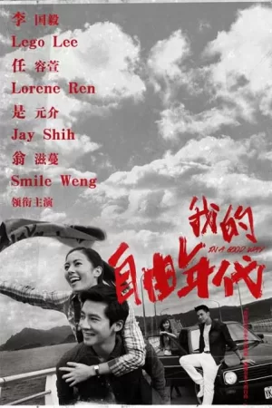 我的自由年代海报