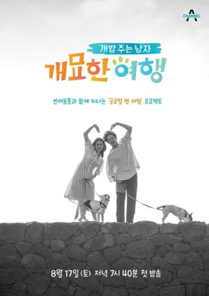 喂狗饭的男人3-奇妙的旅行海报