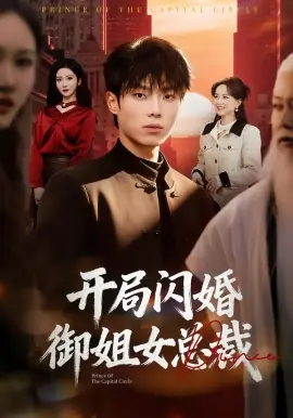 开局闪婚御姐女总裁海报