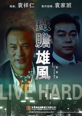 铁胆雄风(原声版)海报