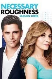 辣女队医第三季海报