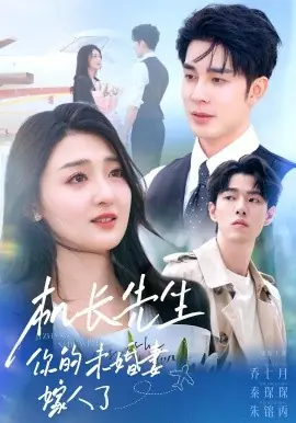 机长先生,你的未婚妻嫁人了海报