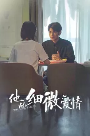 他的细微爱情海报