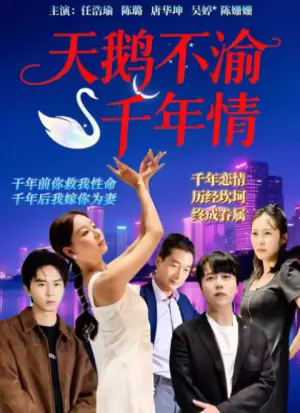 天鹅不渝千年情海报