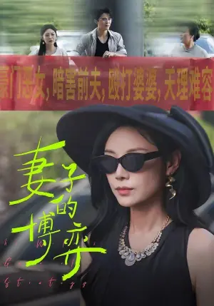 妻子的博弈海报