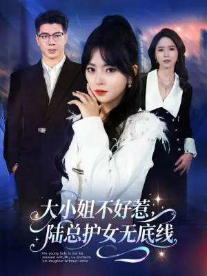 大小姐不好惹,陆总护女无底线海报