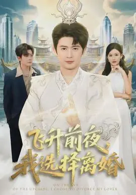 飞升前夜,我选择离婚海报