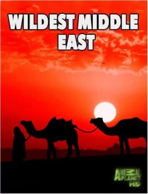 中东野生大地海报