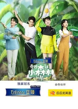 奇妙小森林(会员plus版)海报