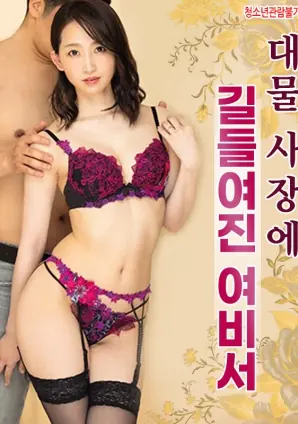 被大物社长驯服的女秘书海报