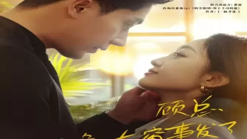 顾总,那晚东窗事发了海报