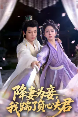 降妻为妾,我踹了负心夫君海报