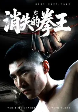 消失的拳王海报