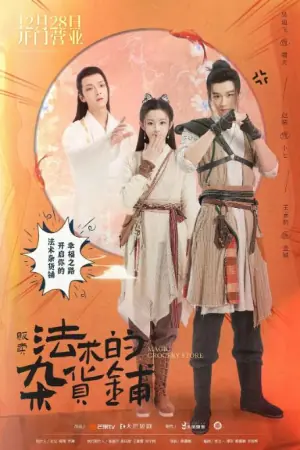 贩卖法术的杂货铺海报