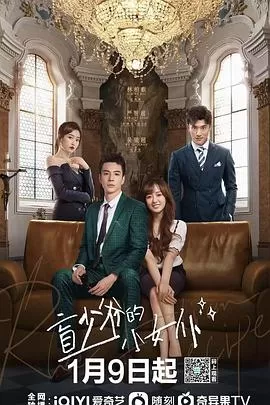 盲少爷的小女仆剧版海报